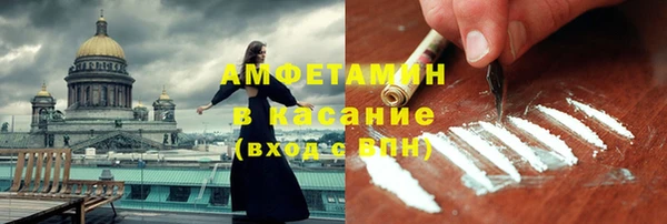 ECSTASY Алзамай